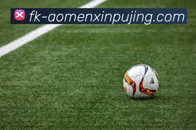 澳门新葡京娱乐全站App